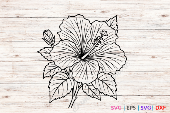 Floral SVG Hibiscus Review