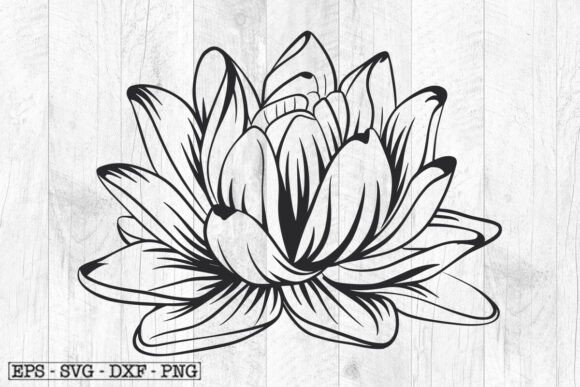 Lotus SVG Flower SVG Floral SVG