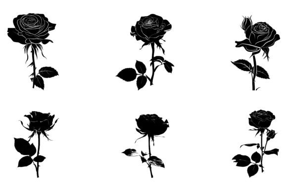 Rose Flower Silhouette Vector
