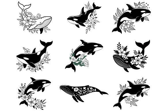 Whale Floral Svg, Ocean Animals Bundle