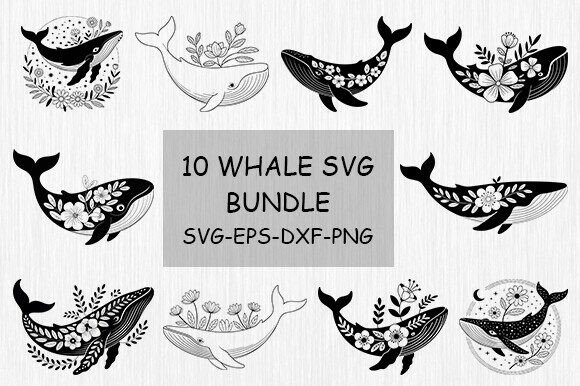 Whale SVG Bundle, Whale Floral SVG Bundle